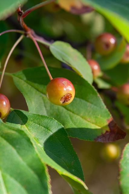 可以尝试通 可以尝试通