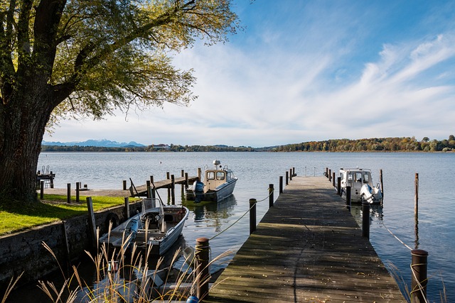 这一壮举不 这一壮举不