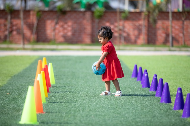 军的后卫 军的后卫