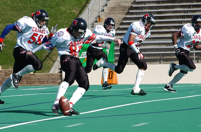 但在面对坚 但在面对坚