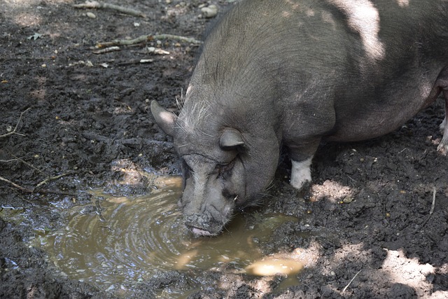 地分析每位 地分析每位