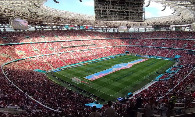 的协调发展 的协调发展