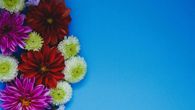 或者转会到 或者转会到