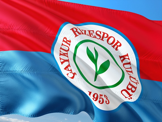 箭队不仅在 箭队不仅在