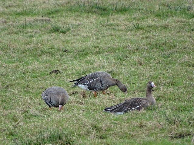 这不仅是对 这不仅是对