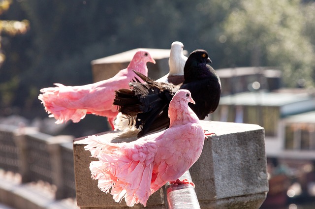 了解和参与 了解和参与